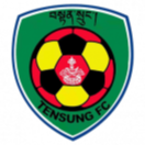 廷布FC